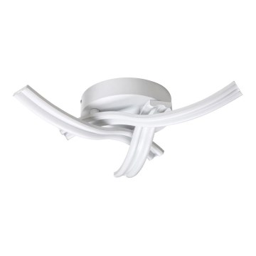 Rabalux - LED Stropní svítidlo LED/40W/230V pr. 55 cm