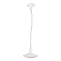 Rabalux - LED Venkovní závěsné svítidlo 1xLED/6W IP54