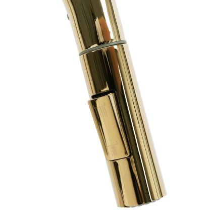 REA-B0669 - Dřezová baterie s vytahovací sprškou FRESH 39,5 cm zlatá