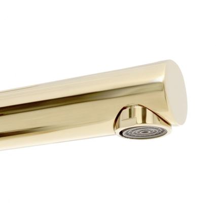 REA-B8803 - Umyvadlová baterie TESS 31,5 cm zlatá