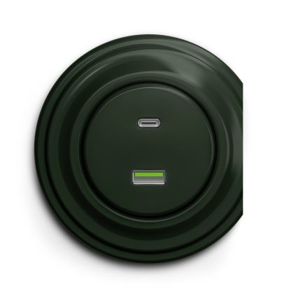 Reblig - Retro USB zásuvka A+C bez rámečku zelená