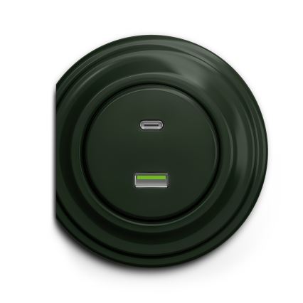 Reblig - Retro USB zásuvka A+C bez rámečku zelená
