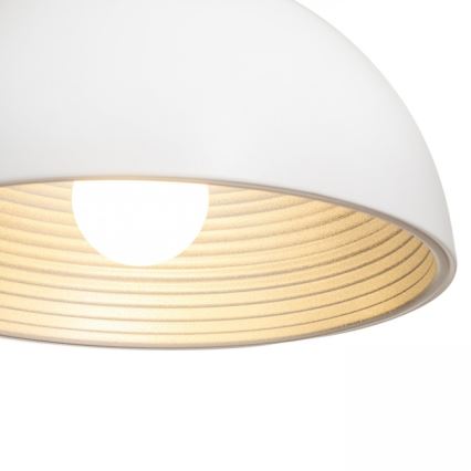 RED - Design Rendl - R13048 - Lustr na lanku CARISSIMA 1xE27/42W/230V