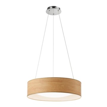 Redo 01-1358 - LED Lustr na lanku MADEIRA 1xLED/35W/230V ?50 Redo 01-1358 - LED Lustr na lanku MADEIRA 1xLED/35W/230V ?50