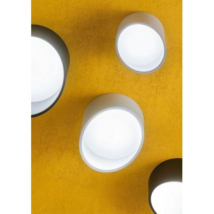 Redo 01-1625 - LED Bodové svítidlo UTO LED/6W/230V pr. 9 cm bílá