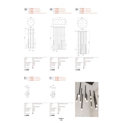 Redo 01-2033 - LED Nástěnné svítidlo MADISON 4xLED/4W/230V zlatá