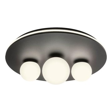 Redo 01-2466 - LED Stropní svítidlo CORUM LED/48W/230V 3000K pr. 49 cm CRI 90 černá