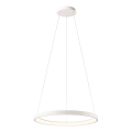 Redo 01-2672 - LED Stmívatelný lustr na lanku ICONIC LED/50W/230V pr. 58 cm bílá