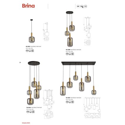 Redo 01-3198 - Lustr na lanku BRINA 3xE27/23W/230V