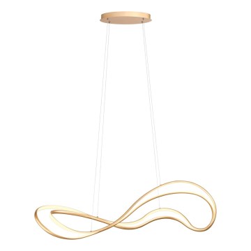 Redo 01-3598 - LED Stmívatelný lustr na lanku TEMPEST LED/58W/230V zlatá