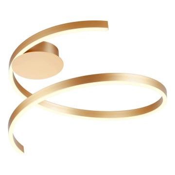 Redo 01-4011 - LED Stmívatelné stropní svítidlo SCROLL LED/38W/230V 3000K/4000K/6000K CRI 90 pr. 60 cm zlatá