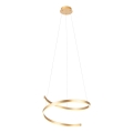 Redo 01-4014 - LED Stmívatelný lustr na lanku SCROLL LED/38W/230V 3000K/4000K/6000K CRI 90 pr. 60 cm zlatá