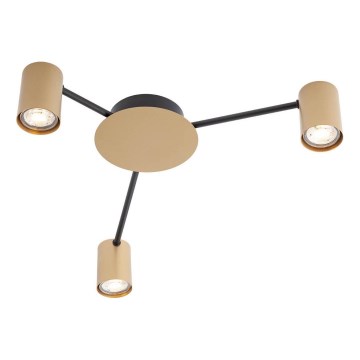 Redo 01-4049 - Bodové svítidlo NOA 3xGU10/10W/230V zlatá