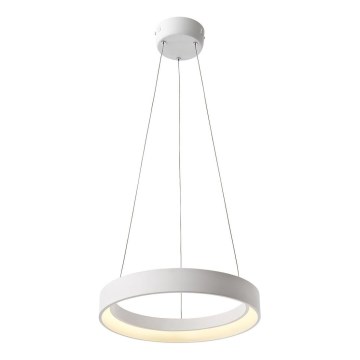 Redo 01-671 - LED Lustr na lanku LOOP LED/38W/230V pr. 45 cm bílá