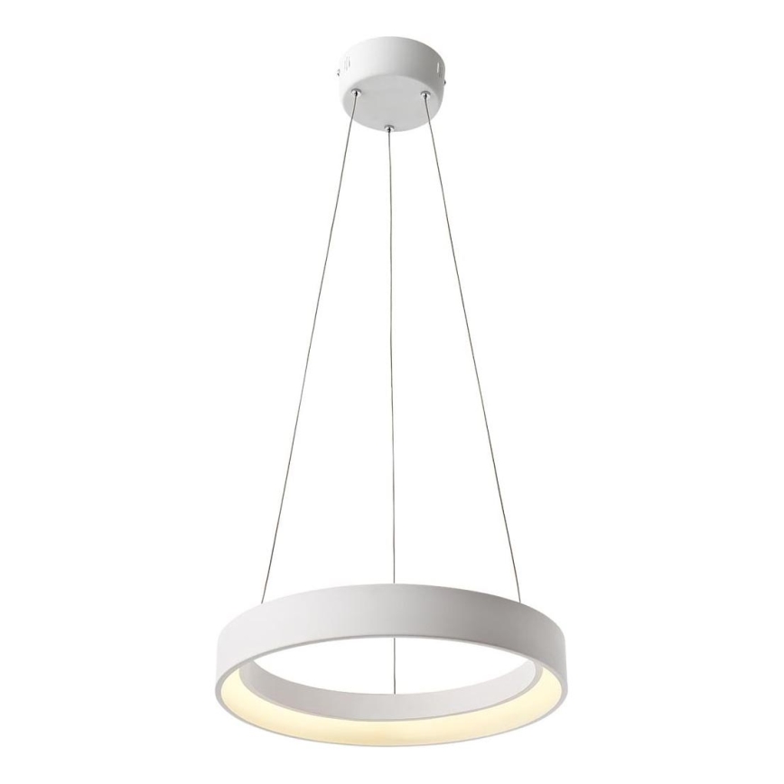 Redo 01-671 - LED Lustr na lanku LOOP LED/38W/230V pr. 45 cm bílá