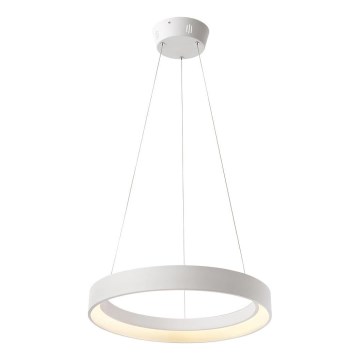 Redo 01-672 - LED Lustr na lanku LOOP LED/48W/230V pr. 60 cm bílá