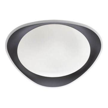 Redo 05-922 - LED Stropní svítidlo VERENA LED/24W/230V antracit