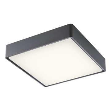 Redo 90158 - LED Venkovní stropní svítidlo MARINA LED/16W/230V 29,6x29,6 cm IP65 antracit