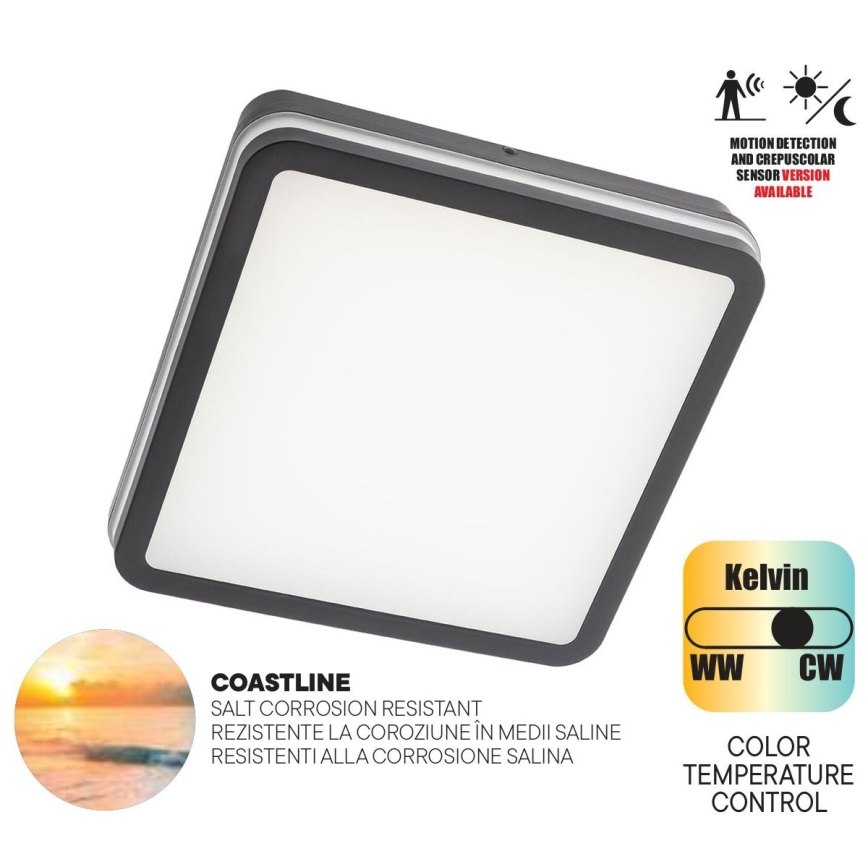 Redo 90292 - LED Venkovní stropní svítidlo se senzorem ISOLA LED/24W/230V 26x26 cm 3000/4000/6500K IP54 antracit