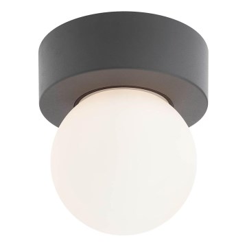 Redo 90641 - Venkovní stropní svítidlo BULK 1xE27/28W/230V IP44 antracit