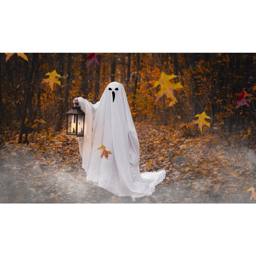 LED Dekorace HALLOWEEN LED/3xAAA/teplá bílá lucerna