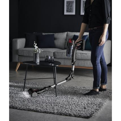 Rowenta - Tyčový vysavač X-FORCE FLEX ANIMAL CARE 320W/25,2V černá 2000 mAh