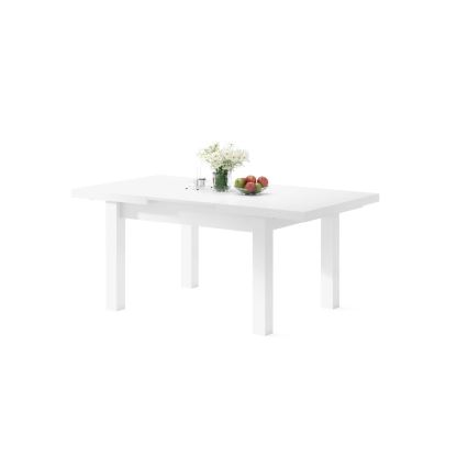 Rozkládací jídelní stůl pro 12 osob RALF 120/270x90 cm bílá