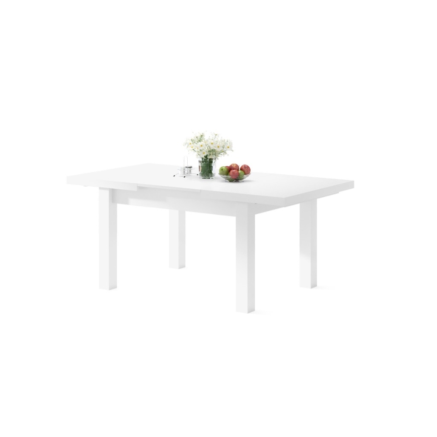 Rozkládací jídelní stůl pro 12 osob RALF 120/270x90 cm bílá