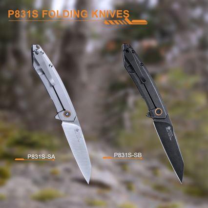 Ruike RUP831SSA - Zavírací kompaktní nůž 19,5 cm stříbrná