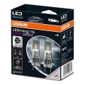 SADA 2x LED Autožárovka EASY GEN H7 PX26d/16W/12V 6500K - Osram