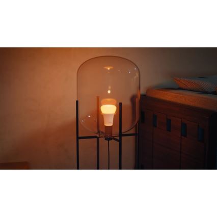 SADA 2x LED Stmívatelná žárovka Philips Hue WHITE AND COLOR AMBIANCE E27/8,1W/230V 1000-20000K