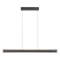 Schöner Wohnen 11316-18 - LED Stmívatelný lustr na lanku LENA LED/32W/230V 105 cm černá