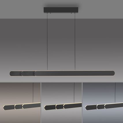 Schöner Wohnen 12577-18 - LED Stmívatelný lustr na lanku ADRIANA ROUND 2xLED/24W/230V 2700/3000/3500/4000/5000K černá