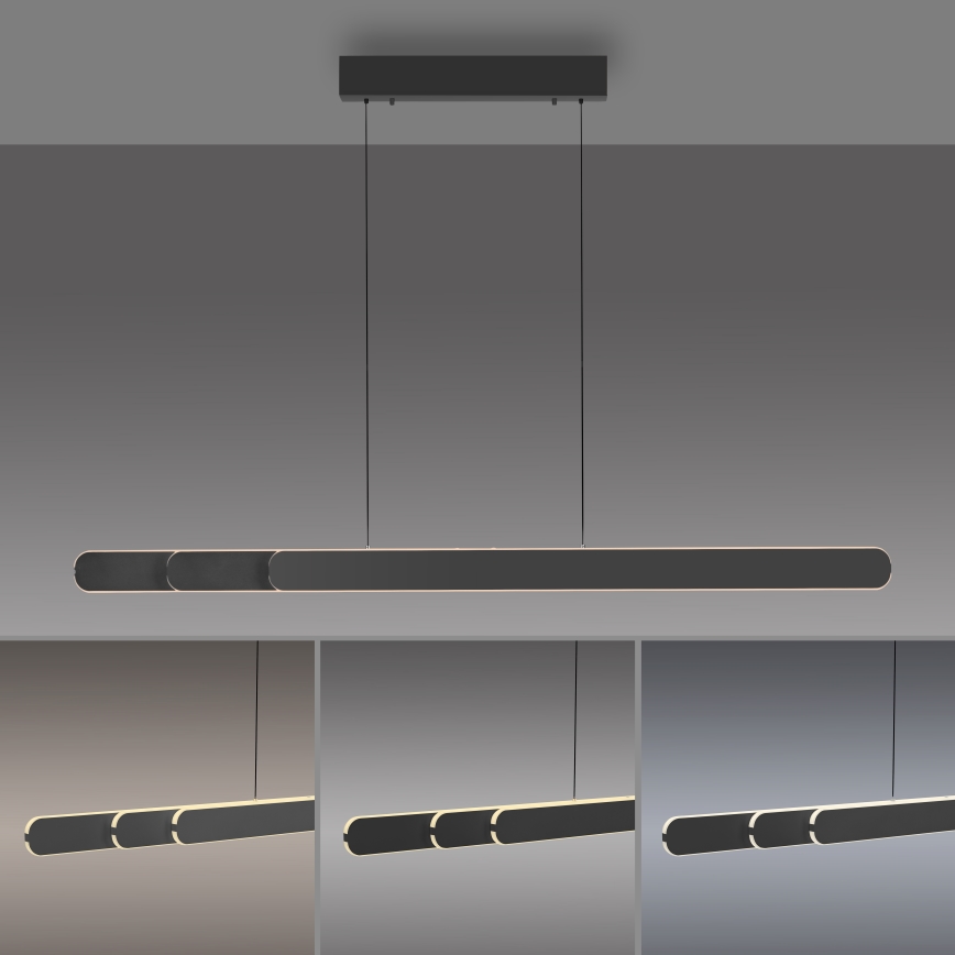 Schöner Wohnen 12577-18 - LED Stmívatelný lustr na lanku ADRIANA ROUND 2xLED/24W/230V 2700/3000/3500/4000/5000K černá