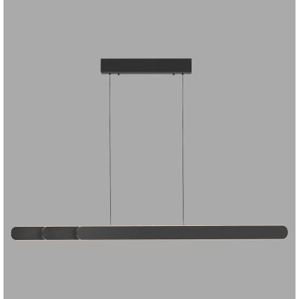 Schöner Wohnen 12577-18 - LED Stmívatelný lustr na lanku ADRIANA ROUND 2xLED/24W/230V 2700/3000/3500/4000/5000K černá