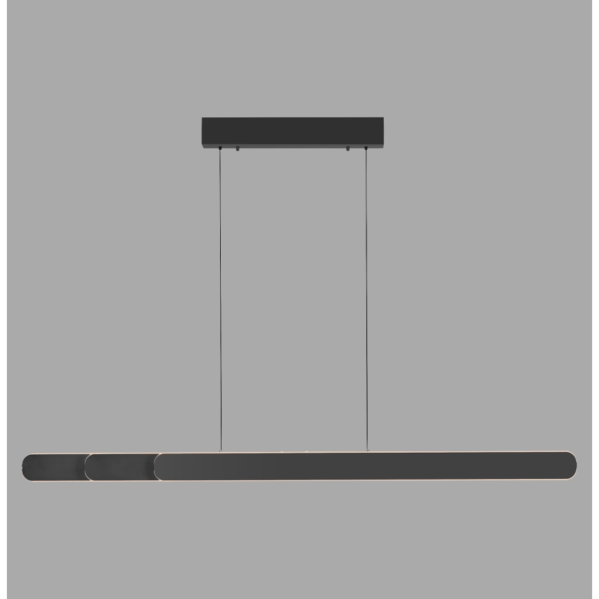 Schöner Wohnen 12577-18 - LED Stmívatelný lustr na lanku ADRIANA ROUND 2xLED/24W/230V 2700/3000/3500/4000/5000K černá