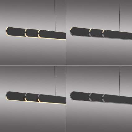 Schöner Wohnen 12577-18 - LED Stmívatelný lustr na lanku ADRIANA ROUND 2xLED/24W/230V 2700/3000/3500/4000/5000K černá