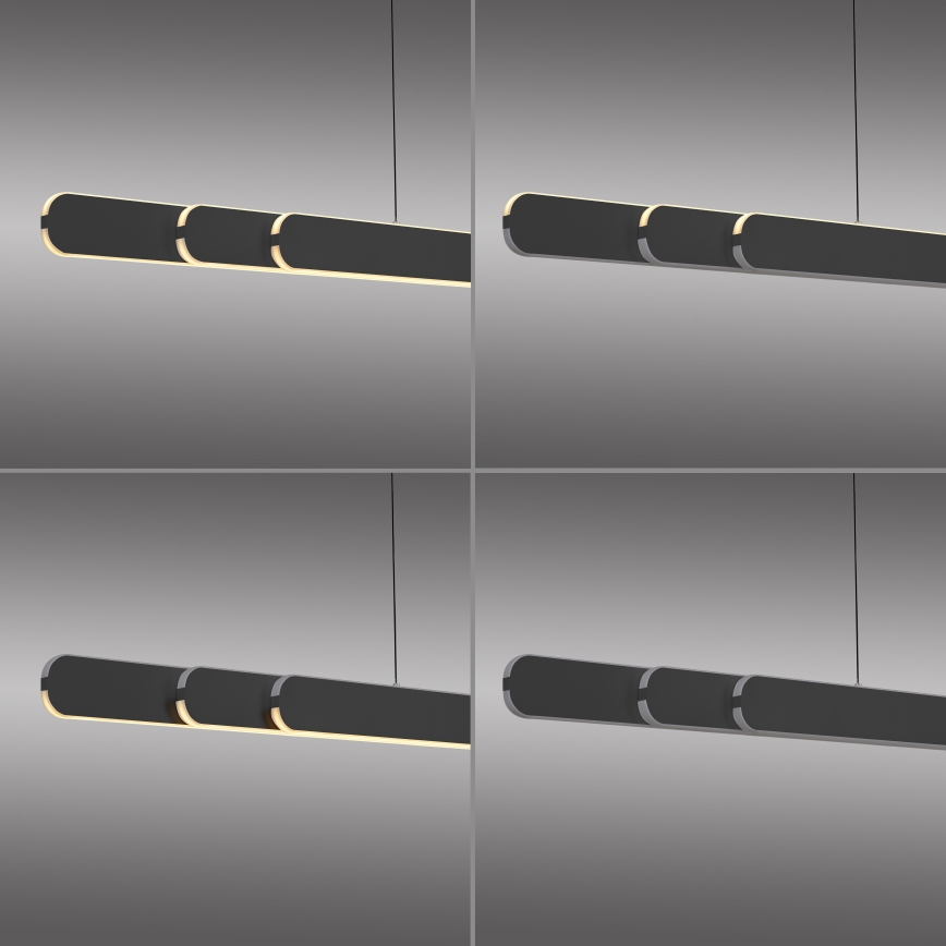 Schöner Wohnen 12577-18 - LED Stmívatelný lustr na lanku ADRIANA ROUND 2xLED/24W/230V 2700/3000/3500/4000/5000K černá