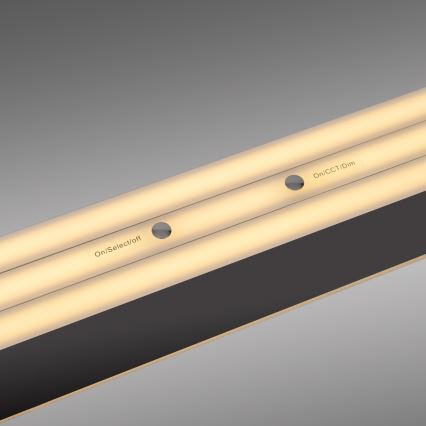 Schöner Wohnen 12577-18 - LED Stmívatelný lustr na lanku ADRIANA ROUND 2xLED/24W/230V 2700/3000/3500/4000/5000K černá