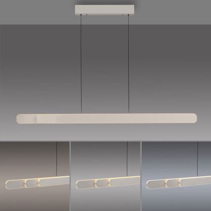 Schöner Wohnen 12577-39 - LED Stmívatelný lustr na lanku ADRIANA ROUND 2xLED/24W/230V 2700/3000/3500/4000/5000K šedá