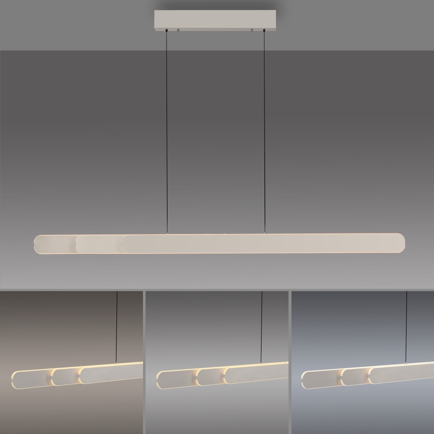 Schöner Wohnen 12577-39 - LED Stmívatelný lustr na lanku ADRIANA ROUND 2xLED/24W/230V 2700/3000/3500/4000/5000K šedá