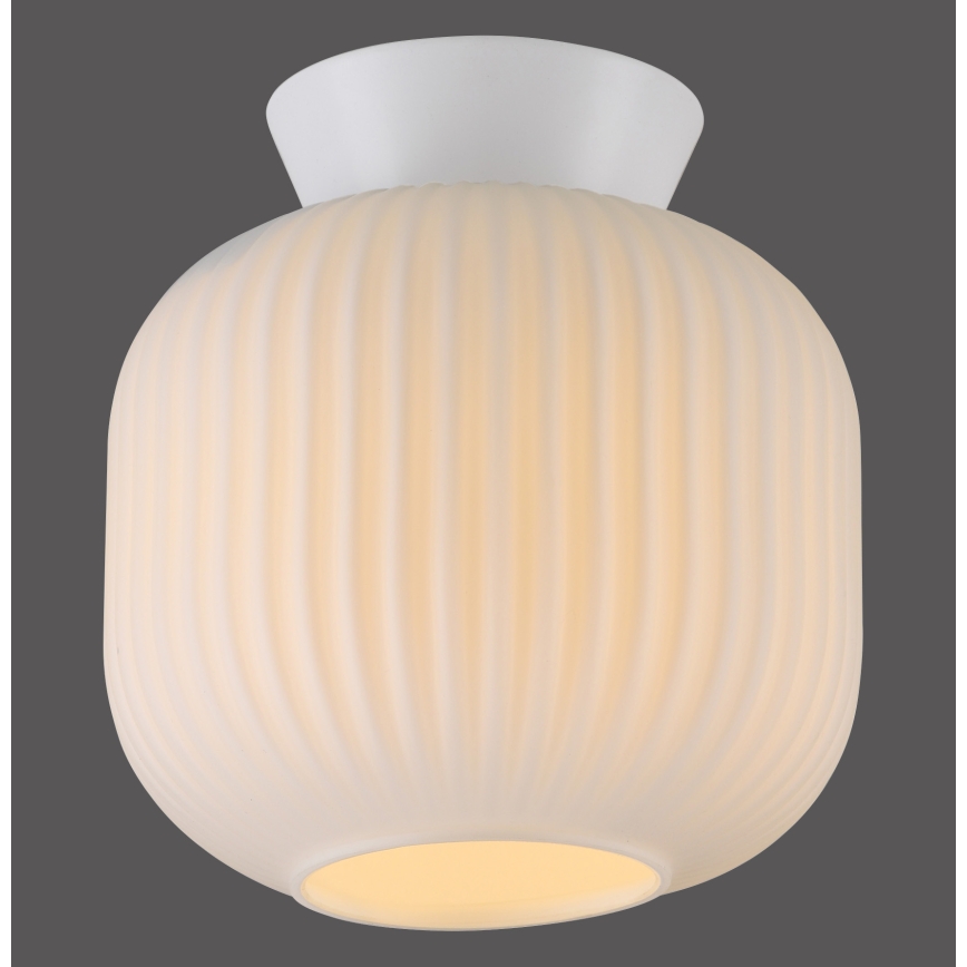 Schöner Wohnen 13574-16 - Stropní svítidlo NAMI 1xE27/25W/230V pr. 20 cm bílá