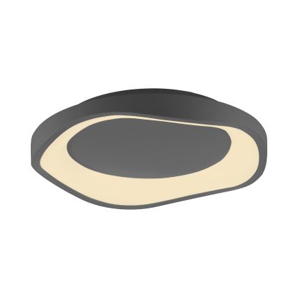 Schöner Wohnen 14233-18 - LED Stmívatelné stropní svítidlo MONTA LED/21W/230V pr. 40 cm černá