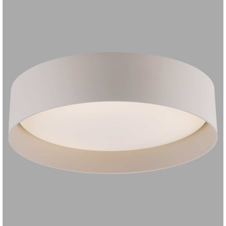 Schöner Wohnen 14593-39 - LED Stmívatelné stropní svítidlo TAVOLI LED/10W/230V 2700-6500K pr. 28,5 cm šedá + dálkové ovládání