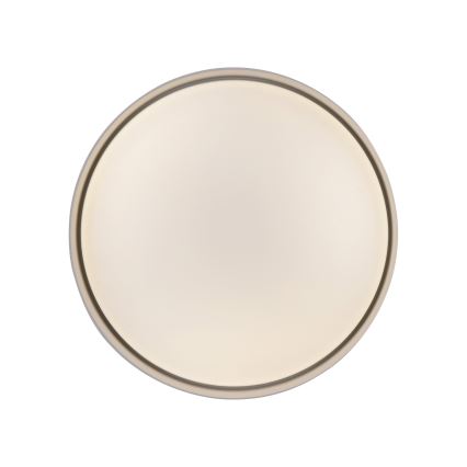 Schöner Wohnen 14593-39 - LED Stmívatelné stropní svítidlo TAVOLI LED/10W/230V 2700-6500K pr. 28,5 cm šedá + dálkové ovládání