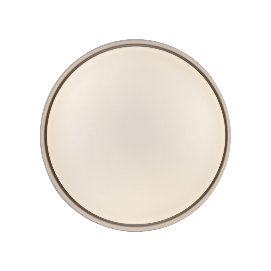 Schöner Wohnen 14593-39 - LED Stmívatelné stropní svítidlo TAVOLI LED/10W/230V 2700-6500K pr. 28,5 cm šedá + dálkové ovládání