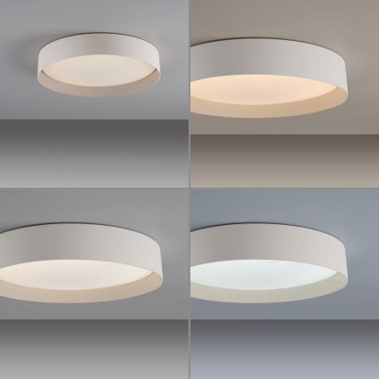 Schöner Wohnen 14594-39 - LED Stmívatelné stropní svítidlo TAVOLI LED/20W/230V 2700-6500K pr. 39 cm šedá + dálkové ovládání