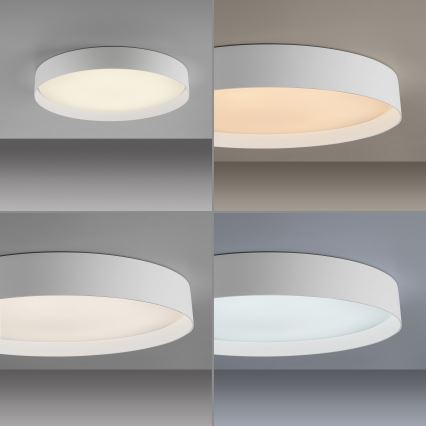 Schöner Wohnen 14595-16 - LED Stmívatelné stropní svítidlo TAVOLI LED/34W/230V 2700-6500K pr. 49 cm bílá + dálkové ovládání