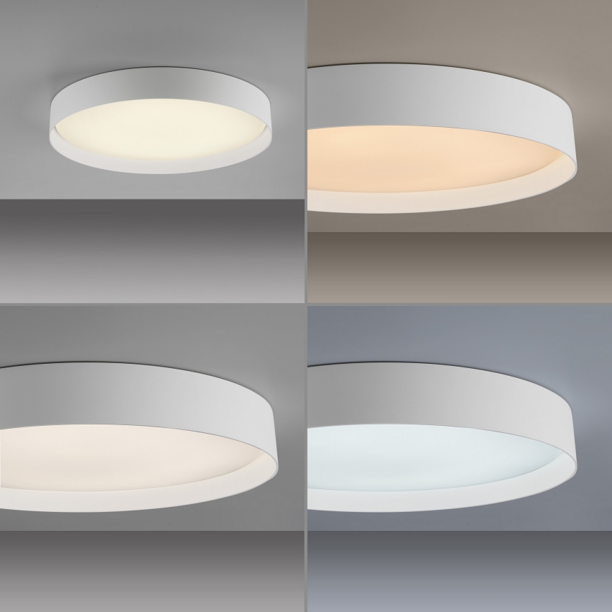 Schöner Wohnen 14595-16 - LED Stmívatelné stropní svítidlo TAVOLI LED/34W/230V 2700-6500K pr. 49 cm bílá + dálkové ovládání