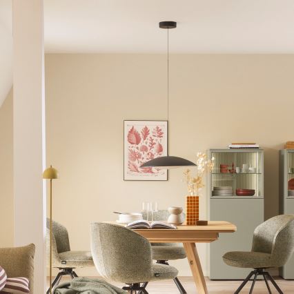 Schöner Wohnen 14606-18 - LED Stmívatelný lustr na lanku LENTE LED/17W/230V pr. 40 cm černá